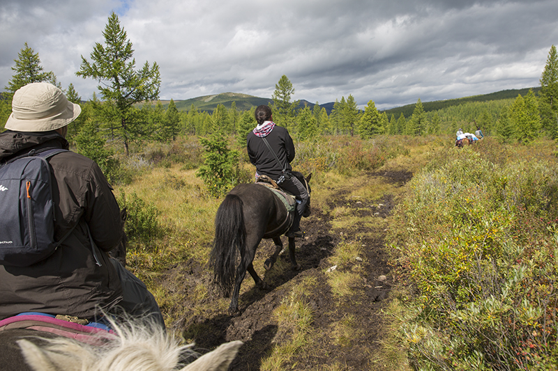 horse trekk mongolia 